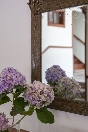casa-flores-espejo-v